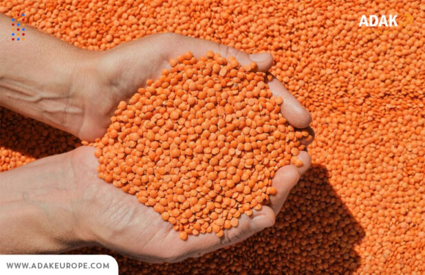 نکات برای خرید مستربچ